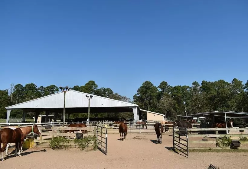 Hotelli Ymca Camp Cullen