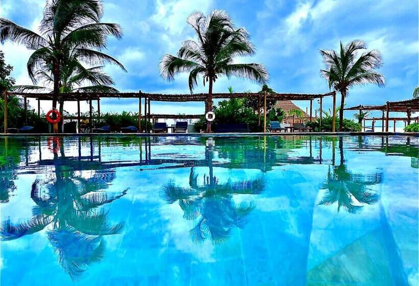 هتل Giraffe Beach