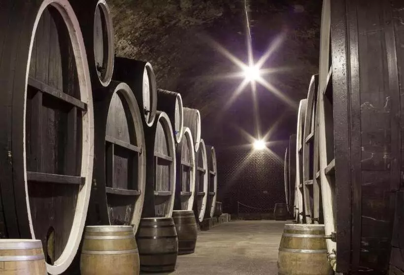 Hotelli Stari Podrum