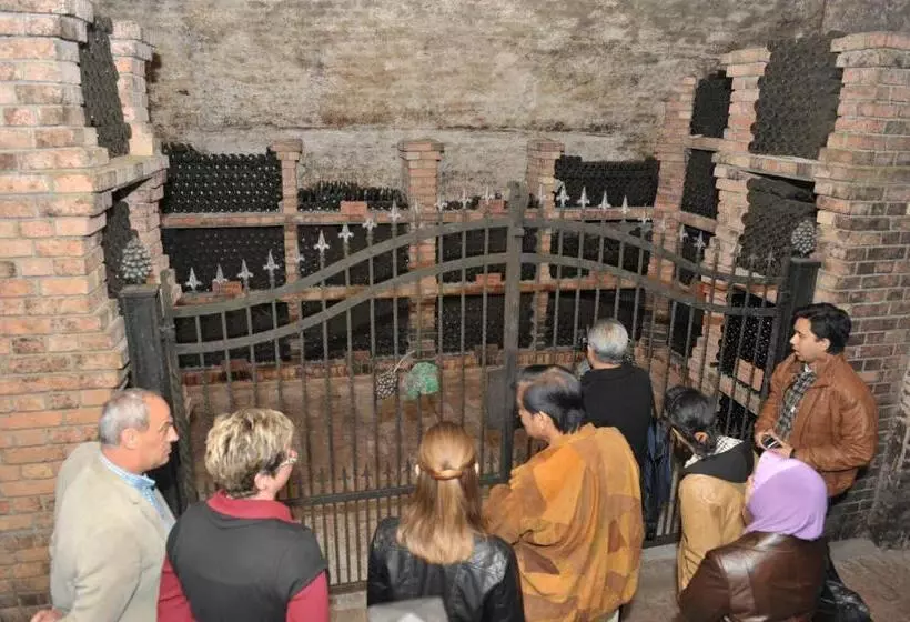 Hotelli Stari Podrum