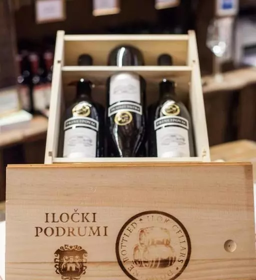 Hotelli Stari Podrum