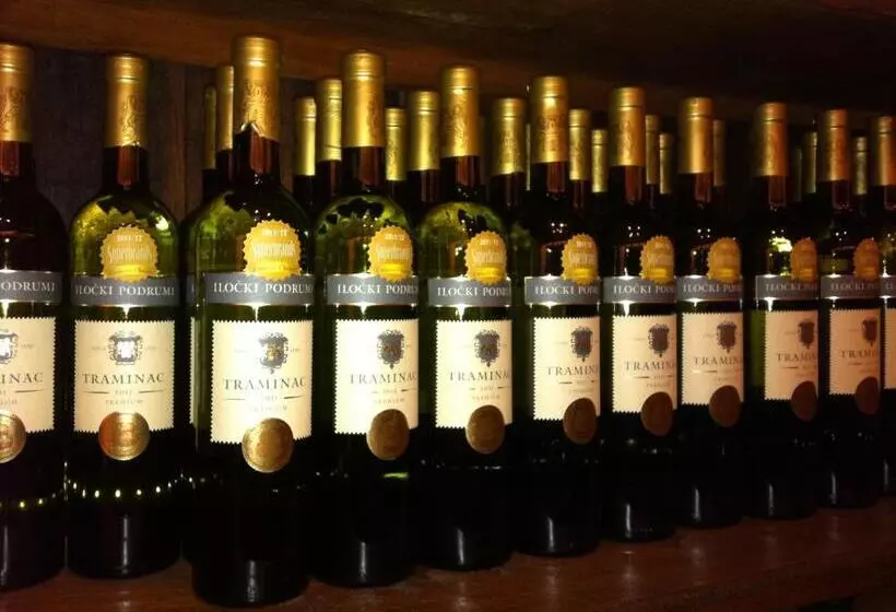 Hotelli Stari Podrum