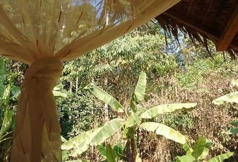 Hotel Alto Tambopata Lodge & Campsite