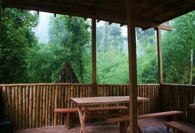 ホテル Alto Tambopata Lodge & Campsite