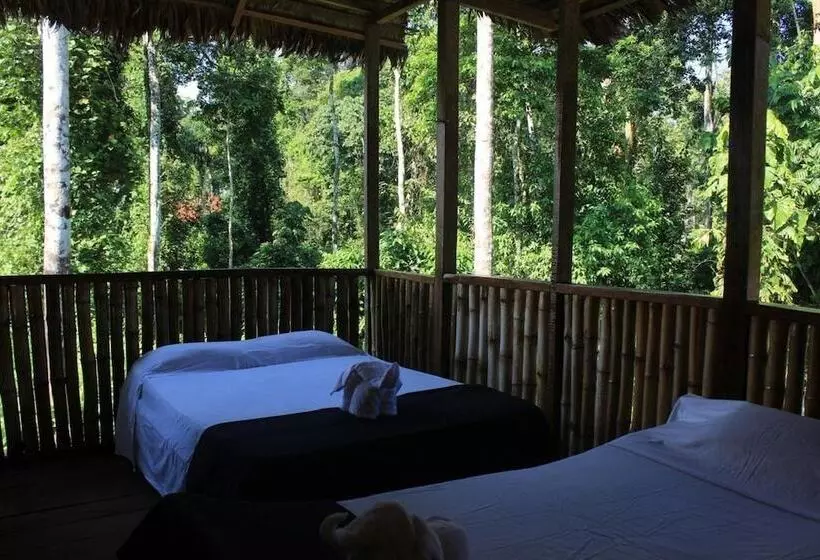 ホテル Alto Tambopata Lodge & Campsite