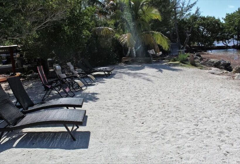 酒店 Beach View Room Barnacle Bed And Breakfast Deers Front Beach Suite