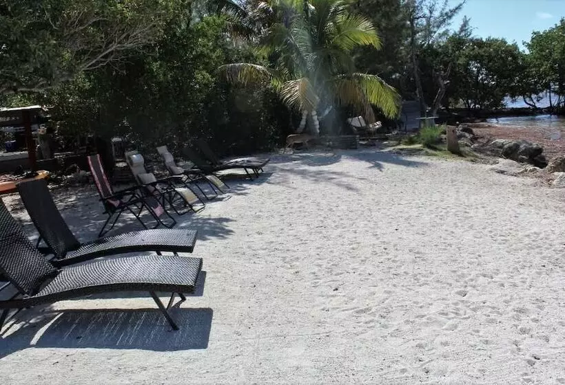 Hotelli Beach View Room Barnacle Bed And Breakfast Deers Front Beach Suite