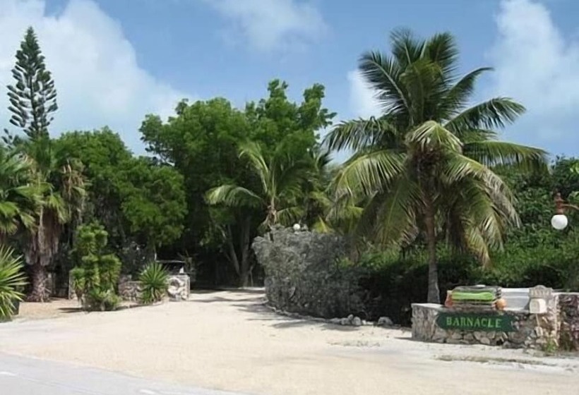 酒店 Beach View Room Barnacle Bed And Breakfast Deers Front Beach Suite