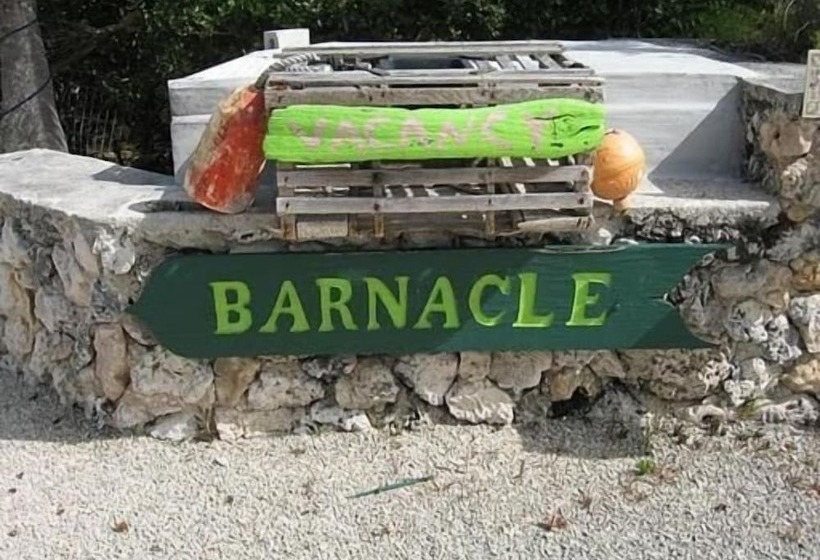 酒店 Beach View Room Barnacle Bed And Breakfast Deers Front Beach Suite