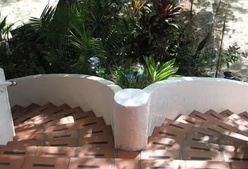 Hotelli Beach View Room Barnacle Bed And Breakfast Deers Front Beach Suite