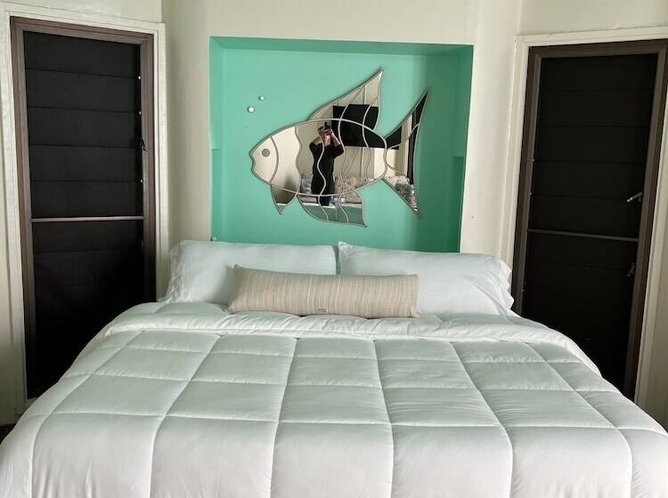 酒店 Beach View Room Barnacle Bed And Breakfast Deers Front Beach Suite