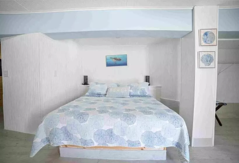 Hotelli Beach View Room Barnacle Bed And Breakfast Deers Front Beach Suite