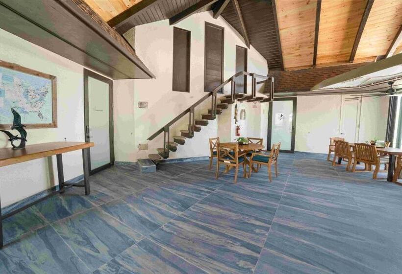 酒店 Beach View Room Barnacle Bed And Breakfast Deers Front Beach Suite