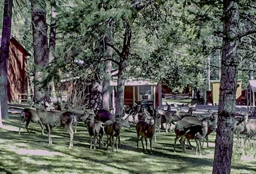 Hotelli Canyon Cabins