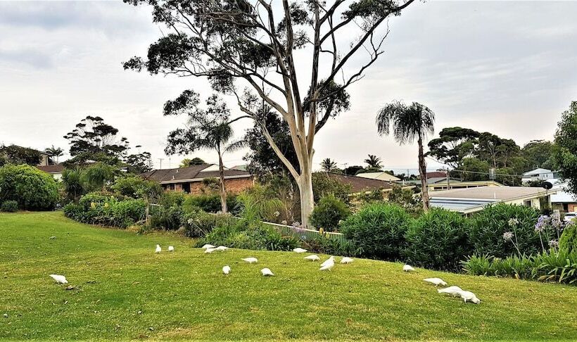 Mollymook Ocean View Motel Rewards Longer Stays  Over 18s Only