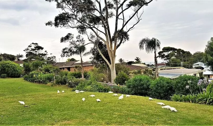 Mollymook Ocean View Motel Rewards Longer Stays  Over 18s Only