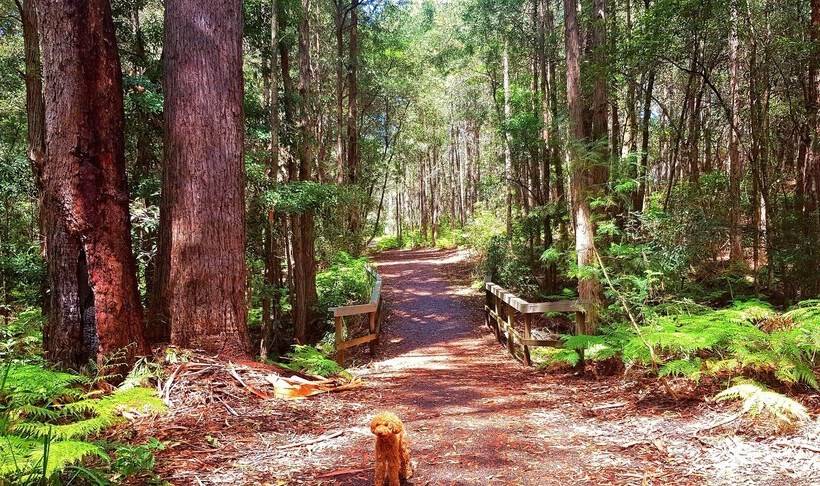 Mollymook Ocean View Motel Rewards Longer Stays  Over 18s Only