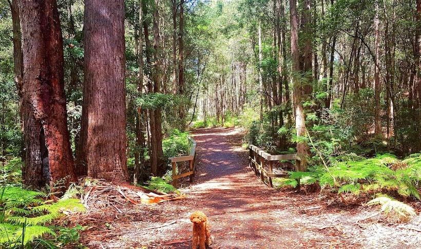 Mollymook Ocean View Motel Rewards Longer Stays  Over 18s Only