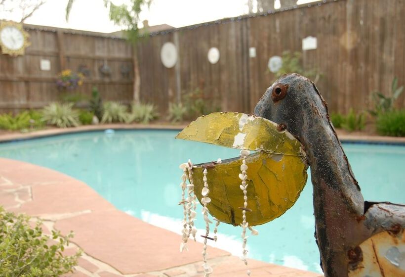 فندق Coastal Dreams Bed & Breakfast