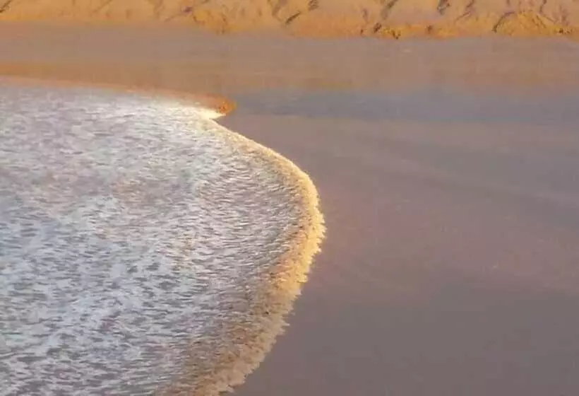 Fundy Rocks Motel And Chocolate River Cottages