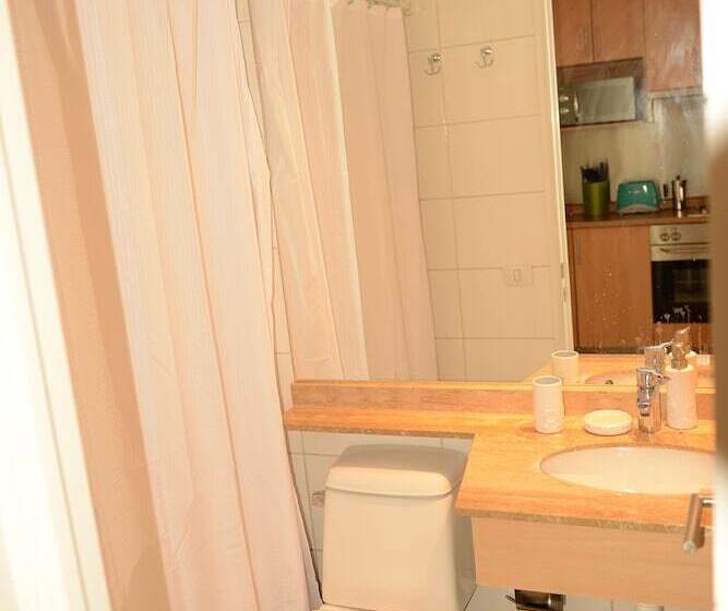 فندق Chilean Suites Providencia