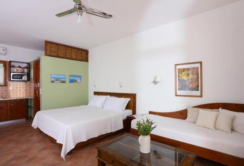 Hotel 9 Muses   Paros