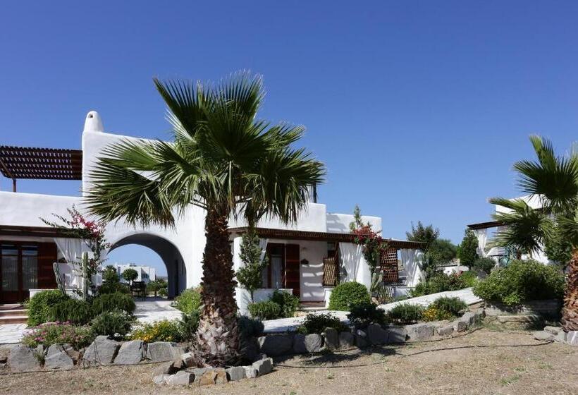 Hotel 9 Muses   Paros