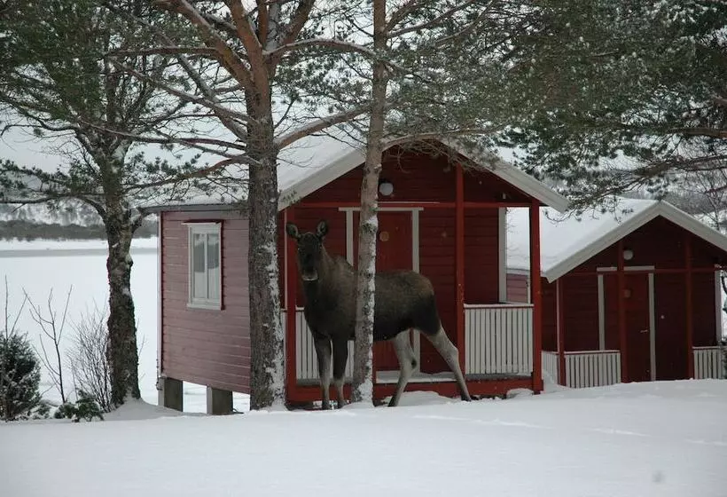 Hotelli Tysfjord Turistsenter