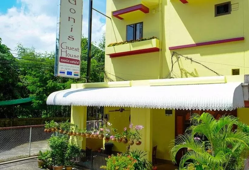 호텔 Adonis Guest House