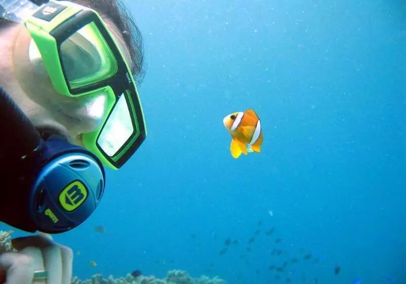 酒店 Blue Star Dive & Resort