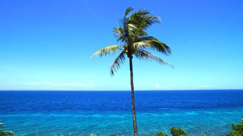 酒店 Blue Star Dive & Resort