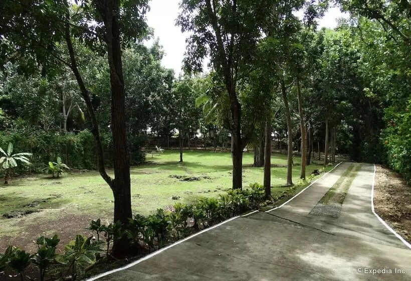 酒店 Blue Star Dive & Resort