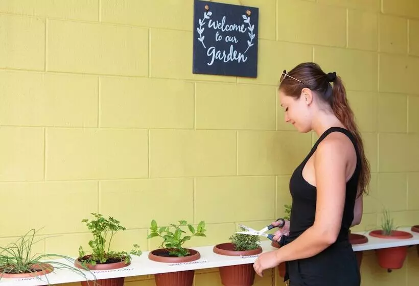 ユースホステル Yha Cairns Central