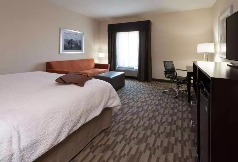 ホテル Hampton Inn & Suites Albuquerque North/i 25