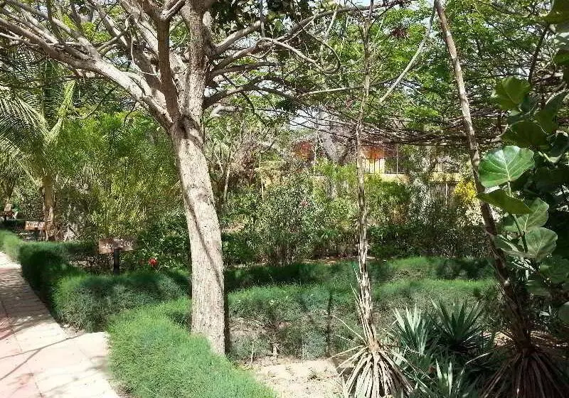 هتل Club Royal Saly All Inclusive