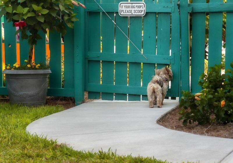 فندق The Thunderbird Inn