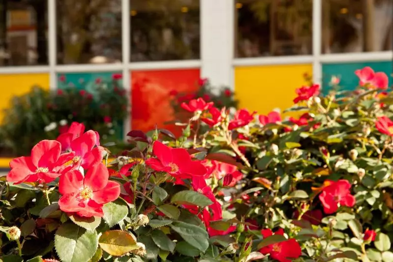 Отель The Thunderbird Inn