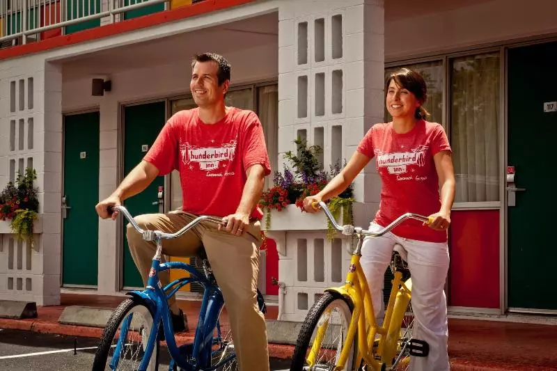 Отель The Thunderbird Inn