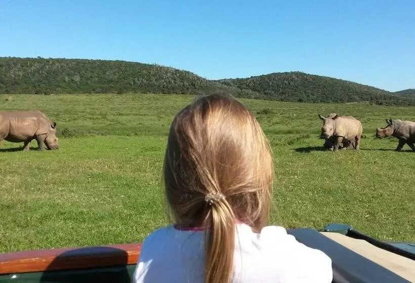 منتجع Kariega Game Reserve   Main Lodge