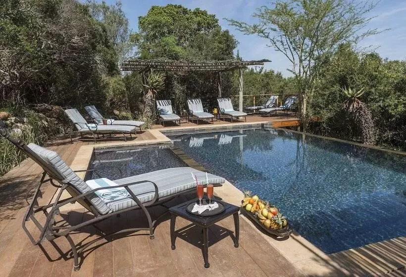 منتجع Kariega Game Reserve   Main Lodge