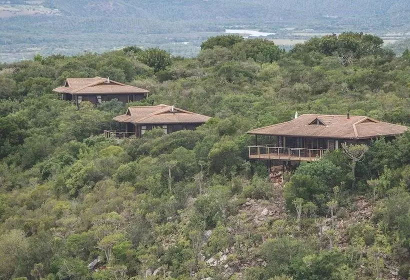منتجع Kariega Game Reserve   Main Lodge
