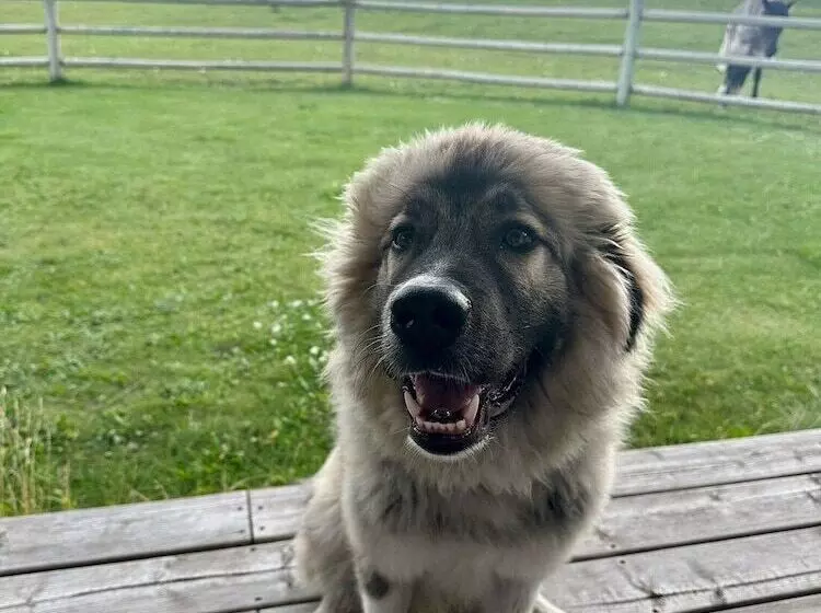 Hotelli Rocking R Guest Ranch