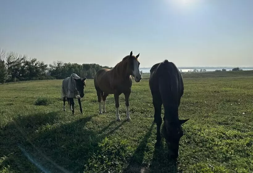 Hotelli Rocking R Guest Ranch