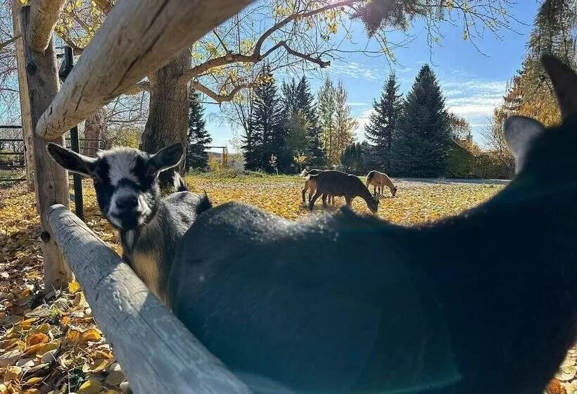 Hotelli Rocking R Guest Ranch