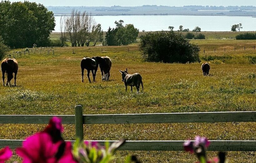 ホテル Rocking R Guest Ranch