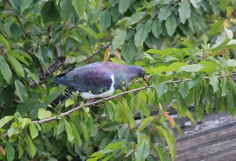 Hotelli The Mill House