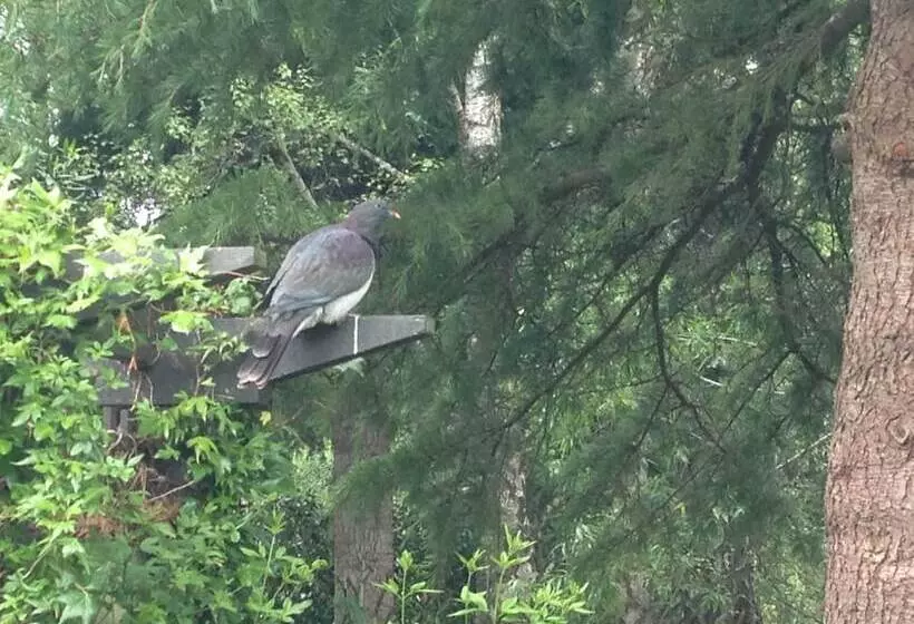 Hotelli The Mill House