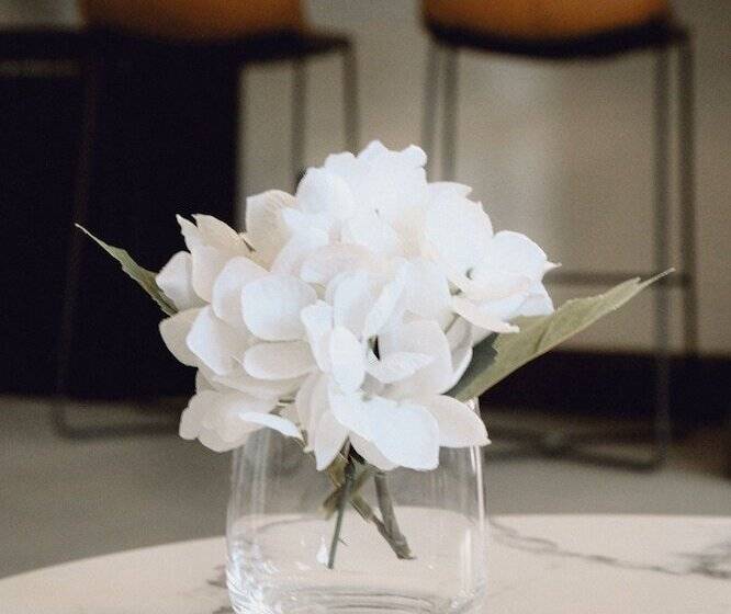 فندق Peninsula Bed & Cocktails