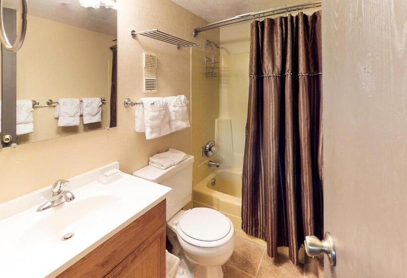 هتل Treehouse 108