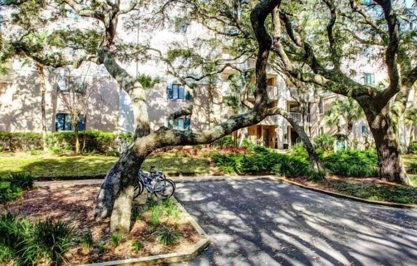 Отель 2034 Beachwood